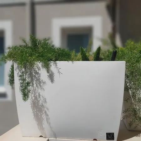 Apartament Attico Sul Porto Di E Vista Vulcano